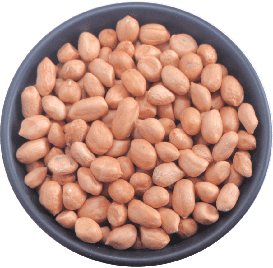 Groundnut